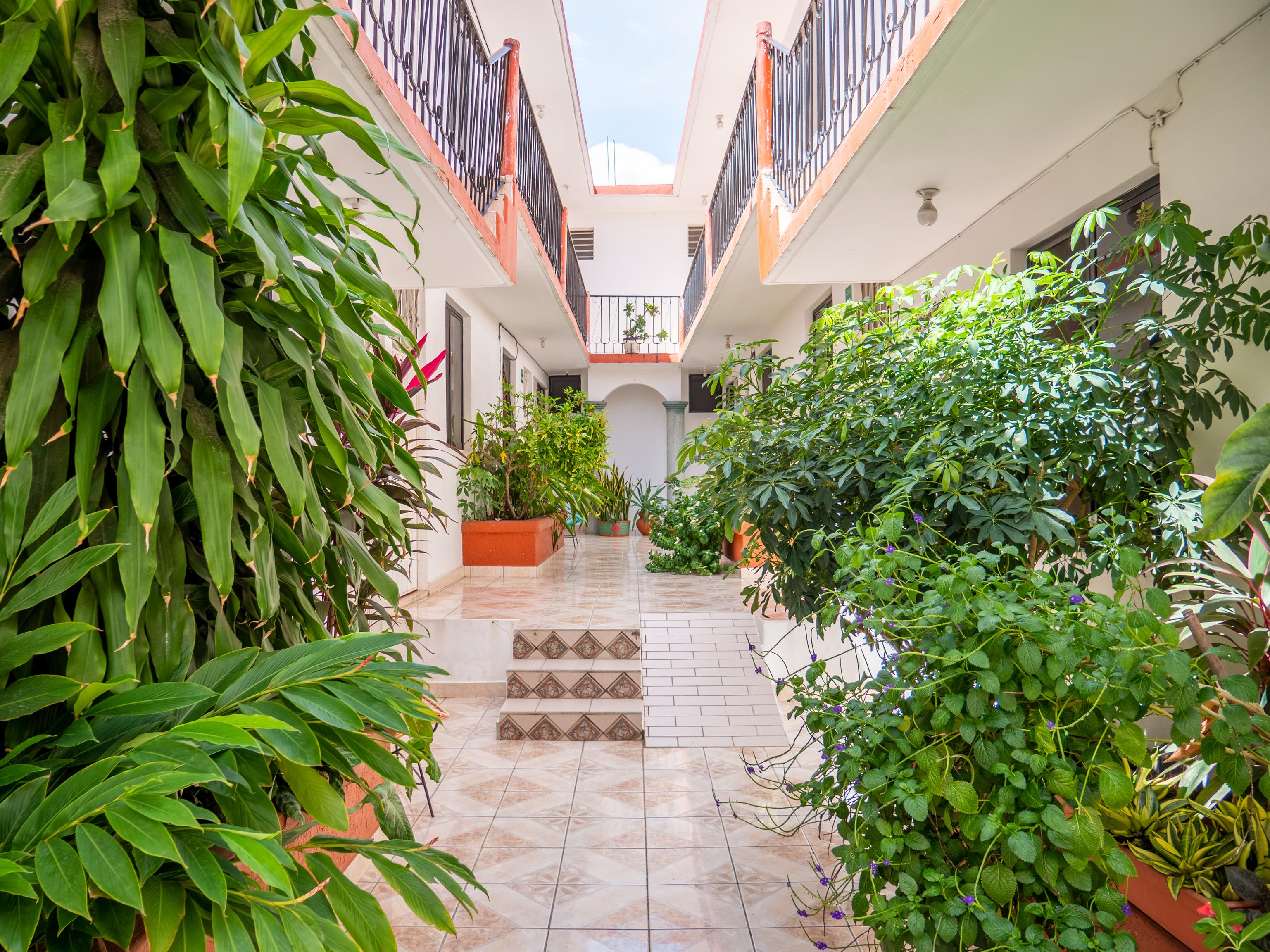 Oyo Hotel Arena Surf, Puerto Escondido Ngoại thất bức ảnh